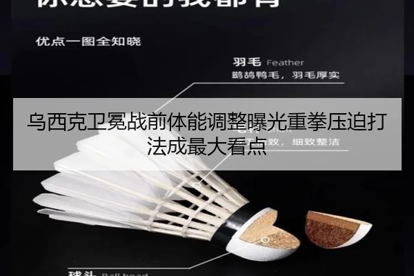 乌西克卫冕战前体能调整曝光重拳压迫打法成最大看点